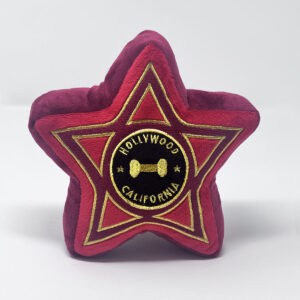 Hollywood Star