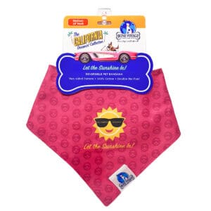 California Sun reversible dog bandana featuring smiling sun graphic from Bone Voyage