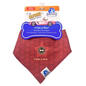 Hollywood Star reversible dog bandana with iconic star graphic by Bone Voyage